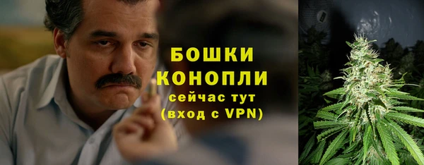 тгк Корсаков