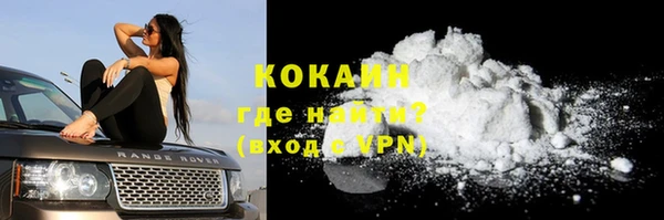 молекула духа Коряжма