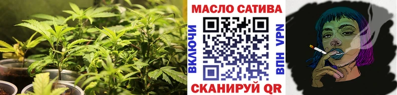Купить где  Аша  ТГК Wax 